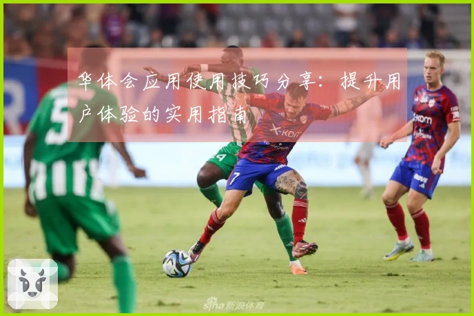 华体会应用使用技巧分享：提升用户体验的实用指南